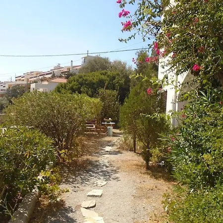 Athina 2 * Batsi (Andros)