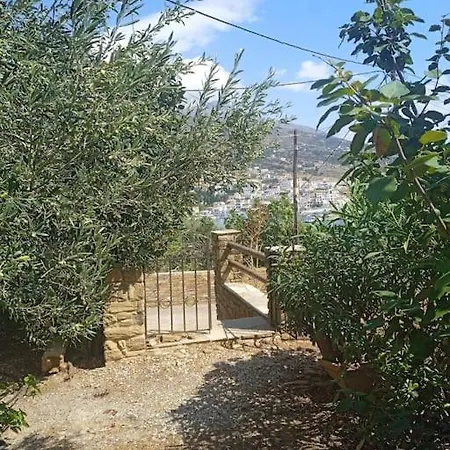 Athina 2 * Batsi (Andros)