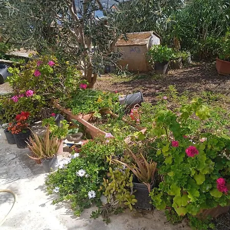 Athina 2 * Batsi (Andros)