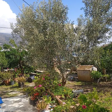 Athina 2 Apartment Batsi (Andros)