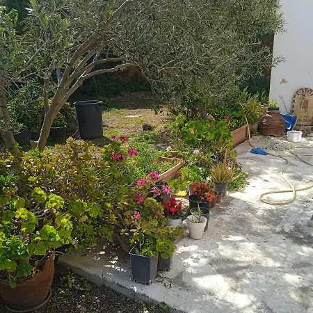 Apartment Athina 2 Batsi (Andros)
